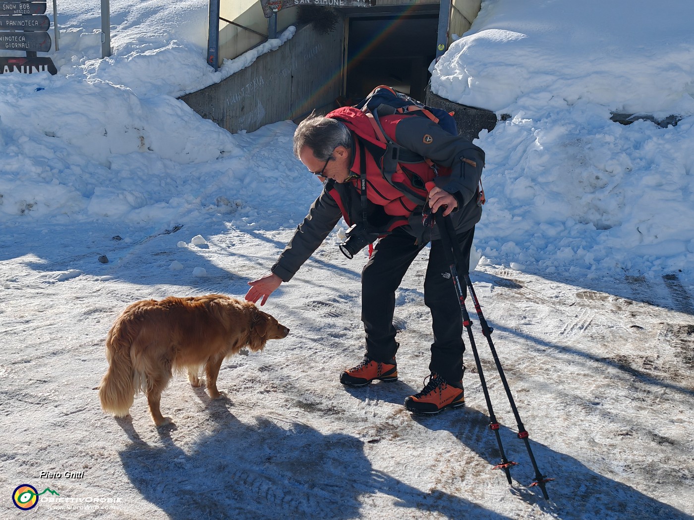 11 Il cagnolino come noi si gode il sole.jpg